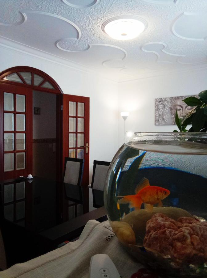 Chalas Place Ναζαρέ Εξωτερικό φωτογραφία